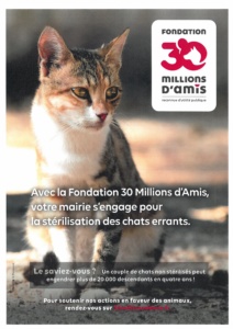 Lire la suite à propos de l’article Campagne de stérilisation et d’identification des chats errants