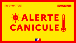 Read more about the article PLAN CANICULE – vigilance jaune