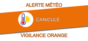 Read more about the article PLAN CANICULE : vigilance orange