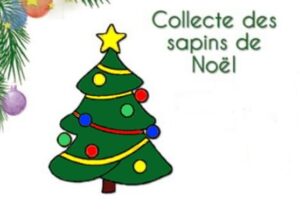 Read more about the article Récupération des sapins de Noël