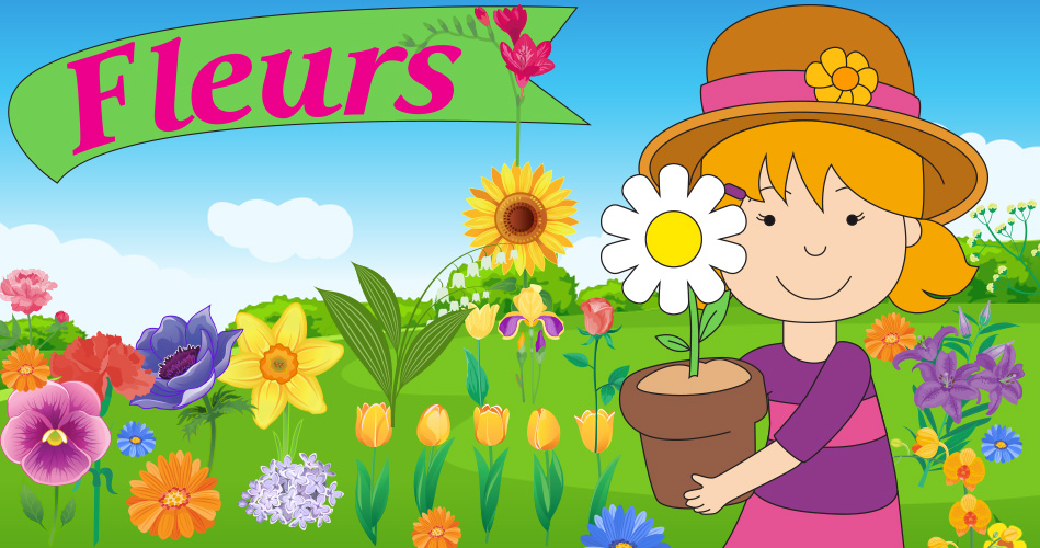 Lire la suite à propos de l’article DON DE FLEURS     lundi 27 octobre